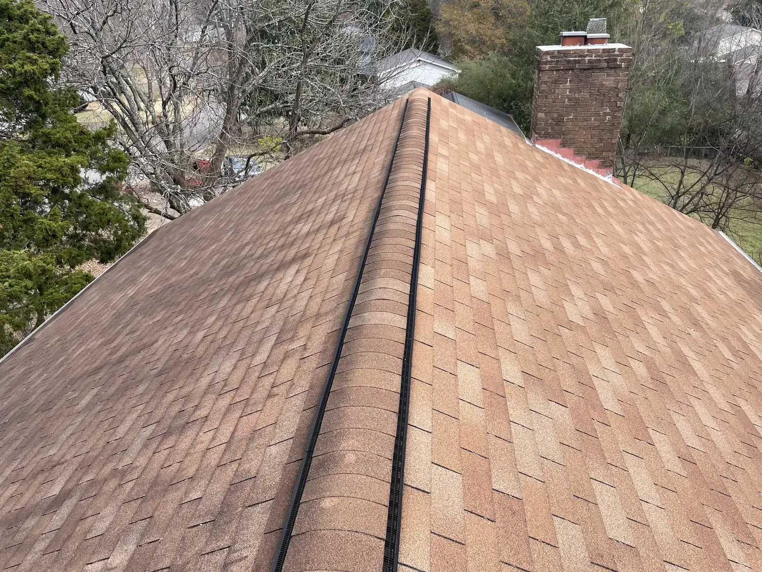 North side vs south side roof showing algae growth difference on an asphalt shingle roof