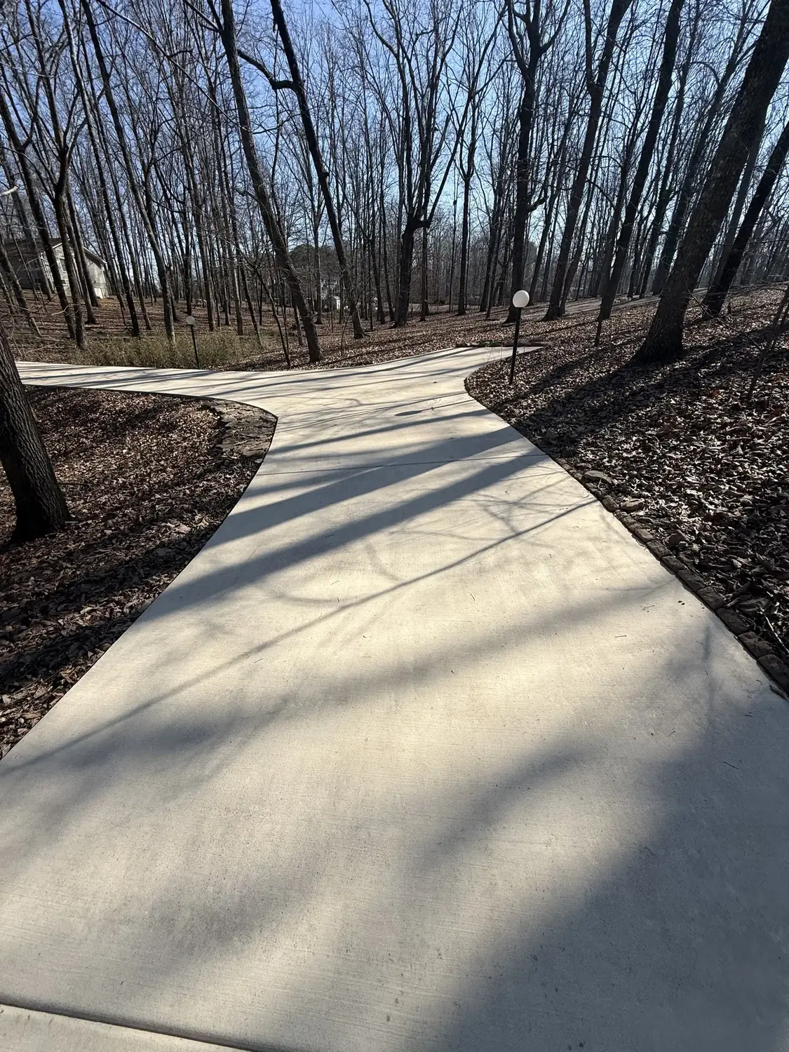 Freshly cleaned concrete driveway through a wooded property