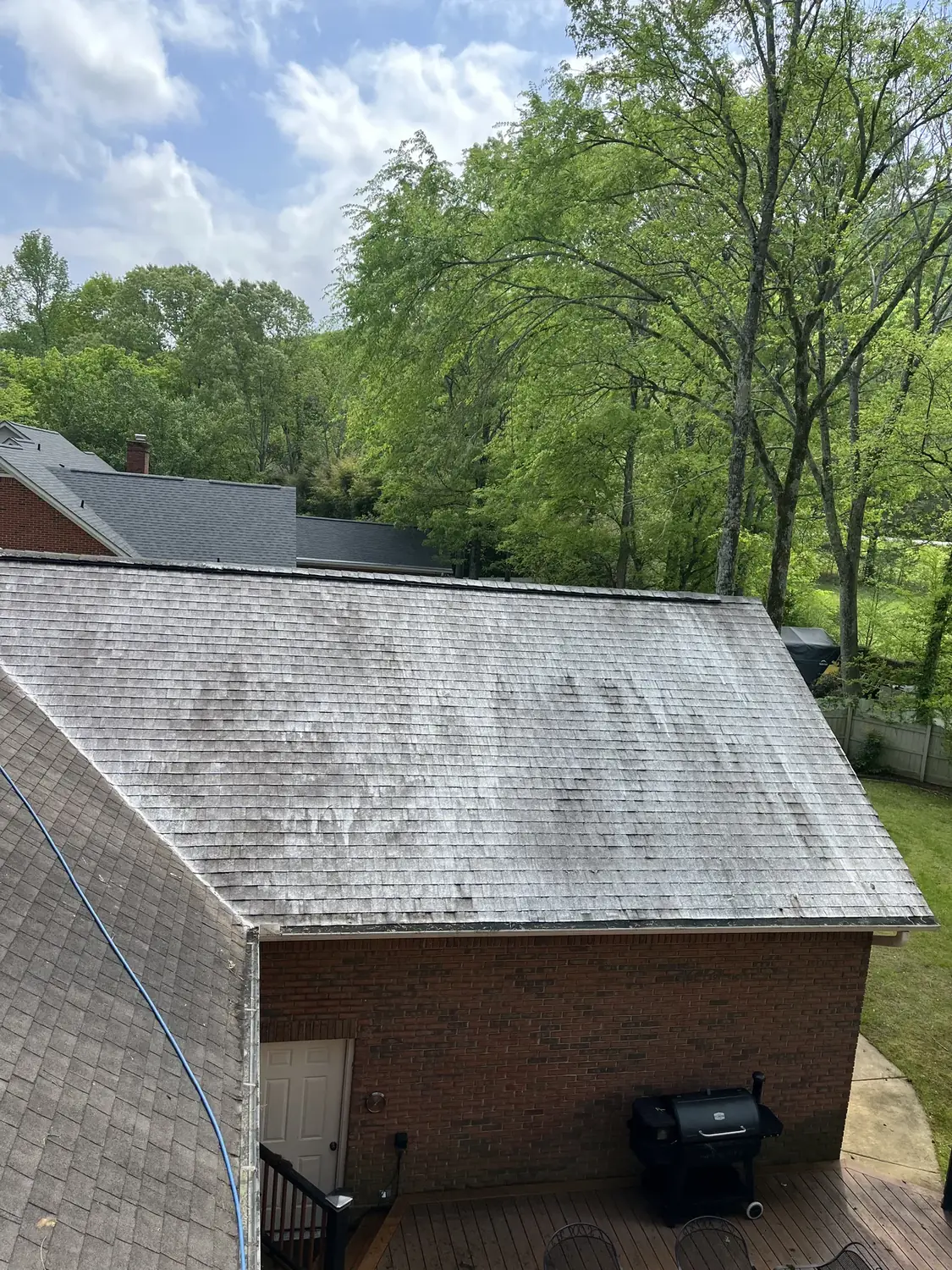 Roof soft wash in progress removing heavy organic growth from shingles