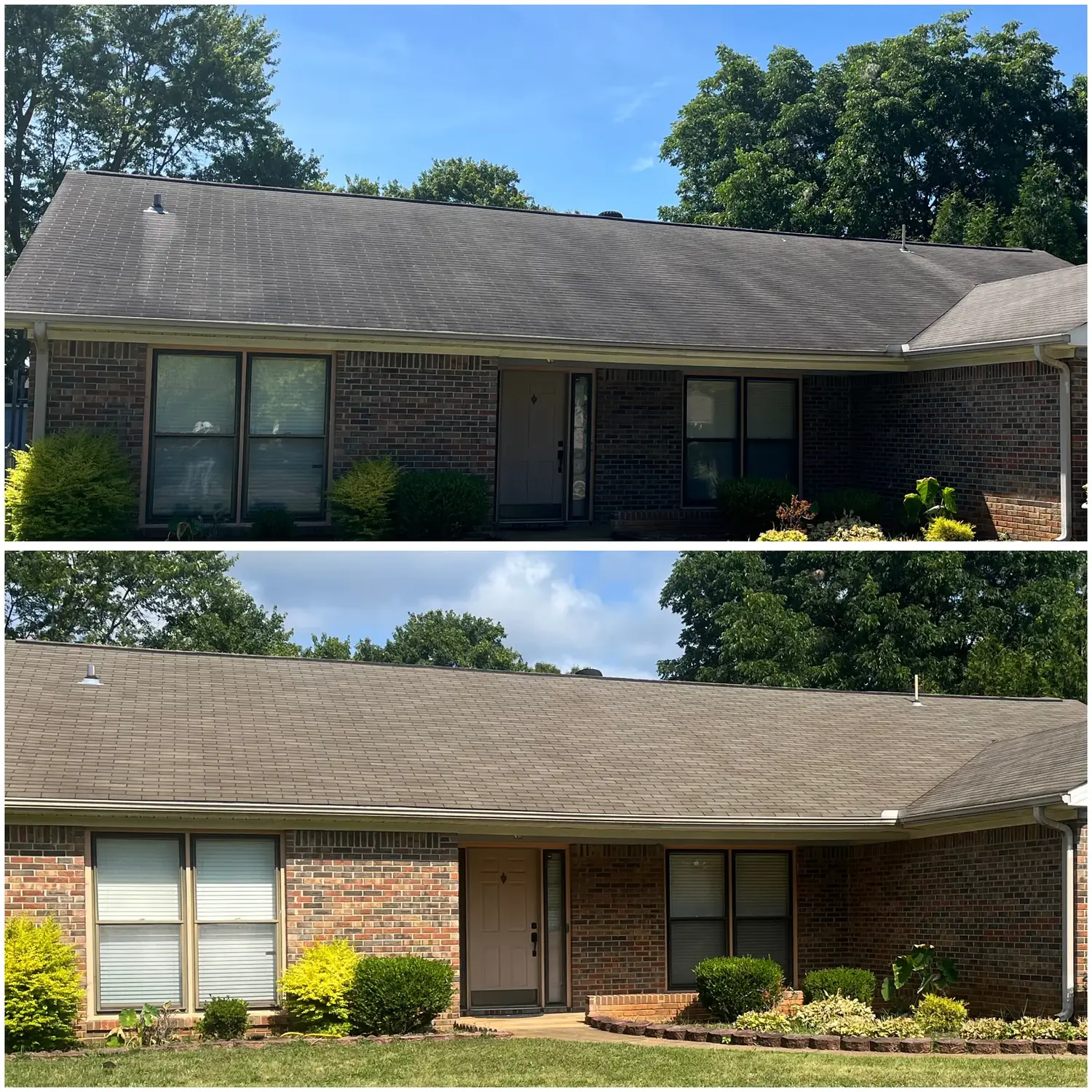 Before and after removing black streaks from an asphalt shingle roof