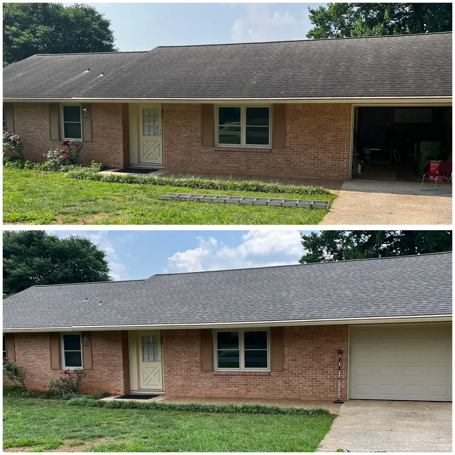 Before and after removing black streaks from an asphalt shingle roof