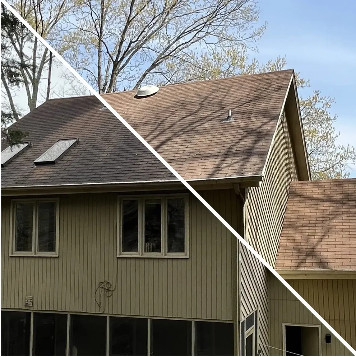 Before and after soft washing a steep asphalt shingle roof